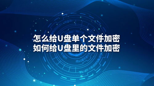 U盤(pán)文件加密指南 從單個(gè)文件到批量保護(hù)與專(zhuān)業(yè)軟件開(kāi)發(fā)